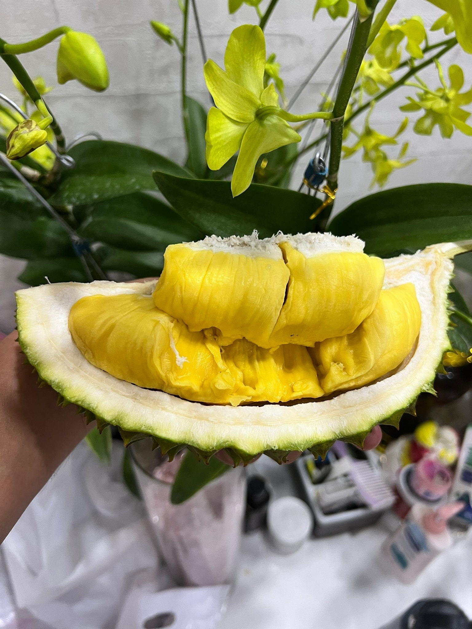 dat hang,  khan hiem,  dat do anh 1