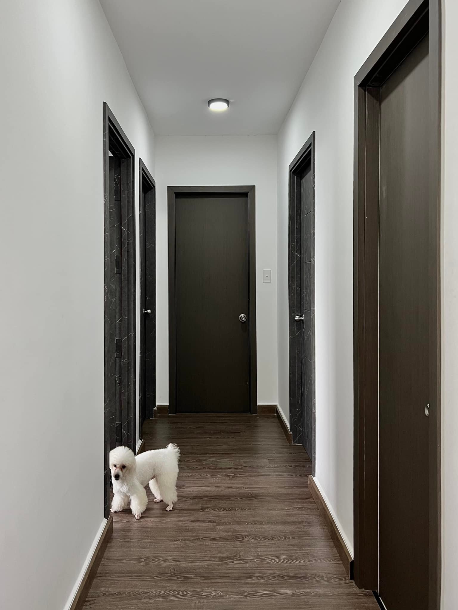 quan 8,  vay ngan hang,  vay tien mua nha anh 6