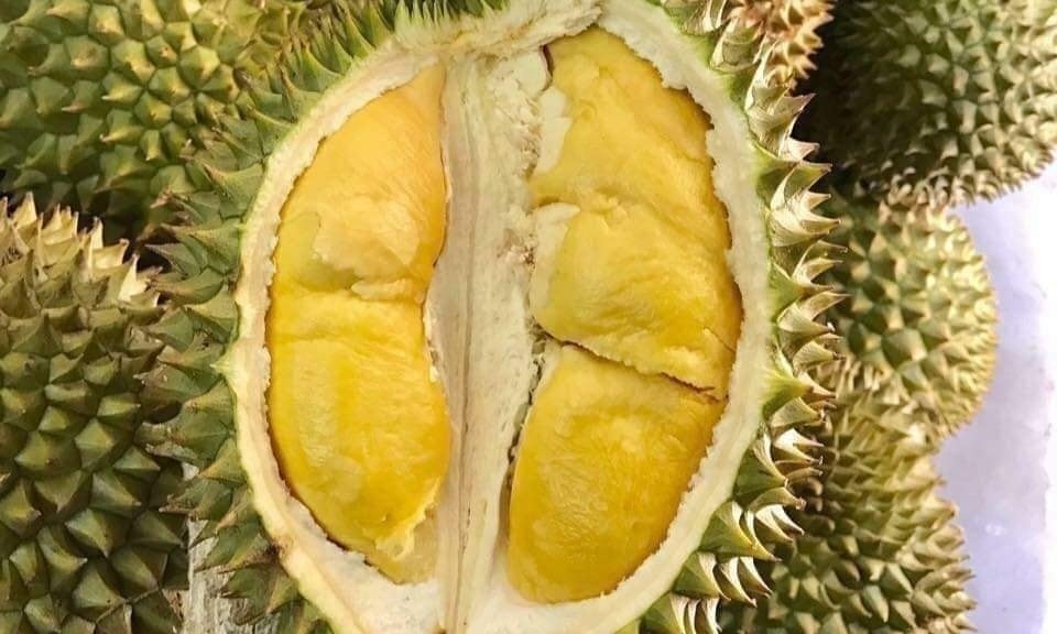 Mat chuc trieu dong vi chieu lua dao sau rieng gia re 30.000 dong/kg hinh anh