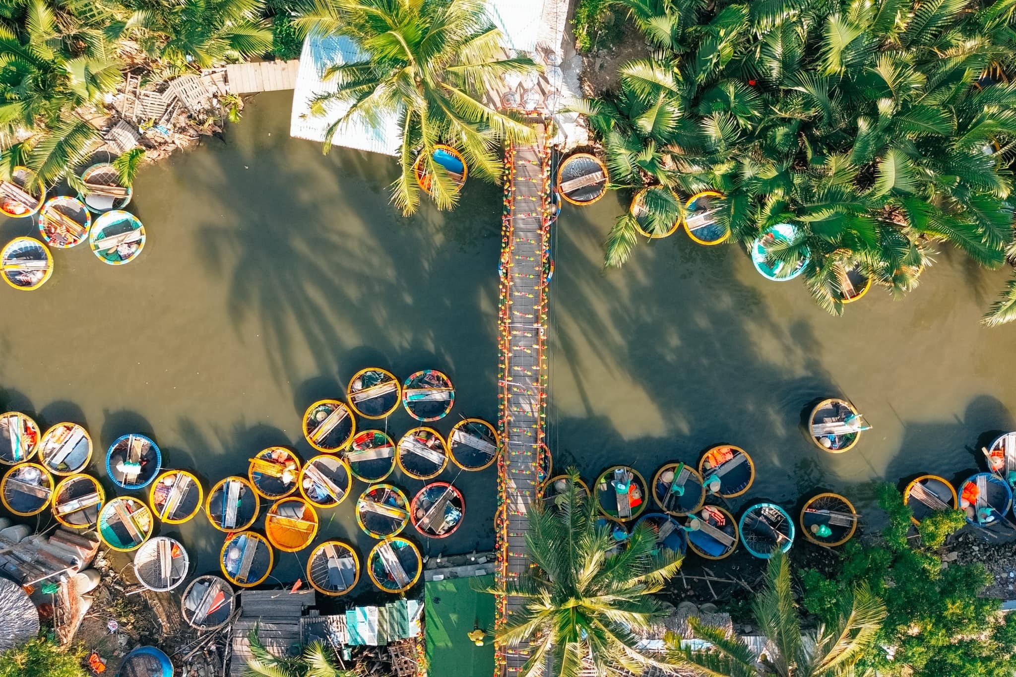 tiem nang,  2024,  visa anh 1