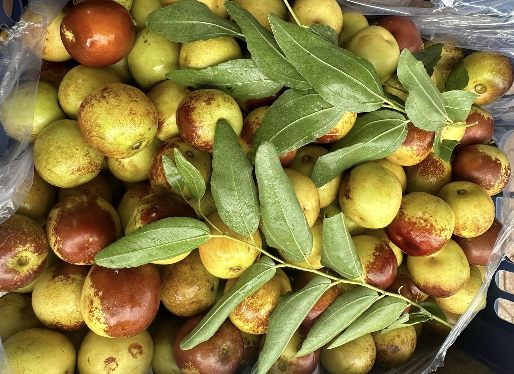 Qua ‘than duoc’ Trung Quoc tran sang cho Viet, gia chi 30.000 dong/kg hinh anh