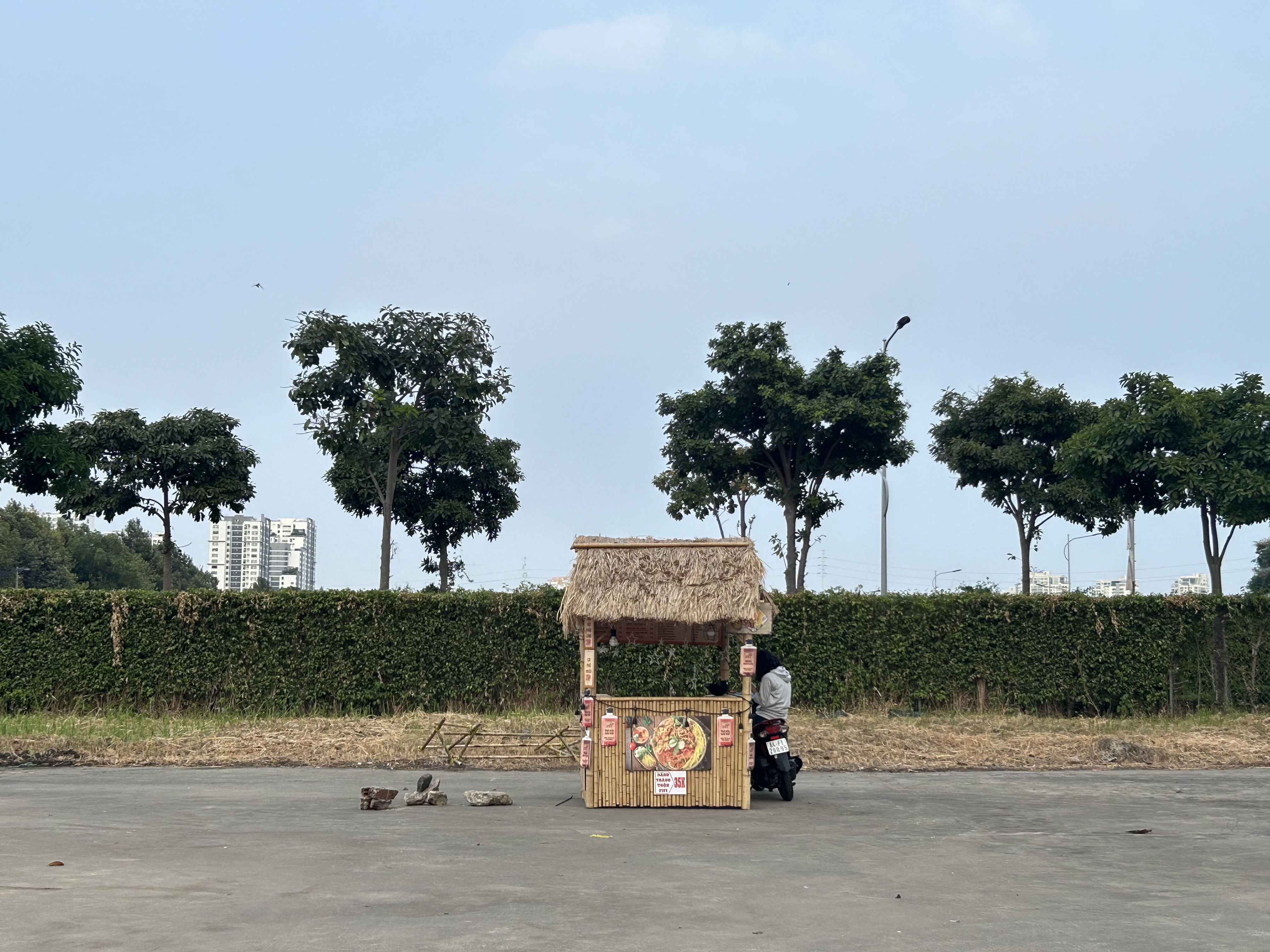 Ca hoi hoa xuan o TP.HCM chi con 1 gian hang hinh anh