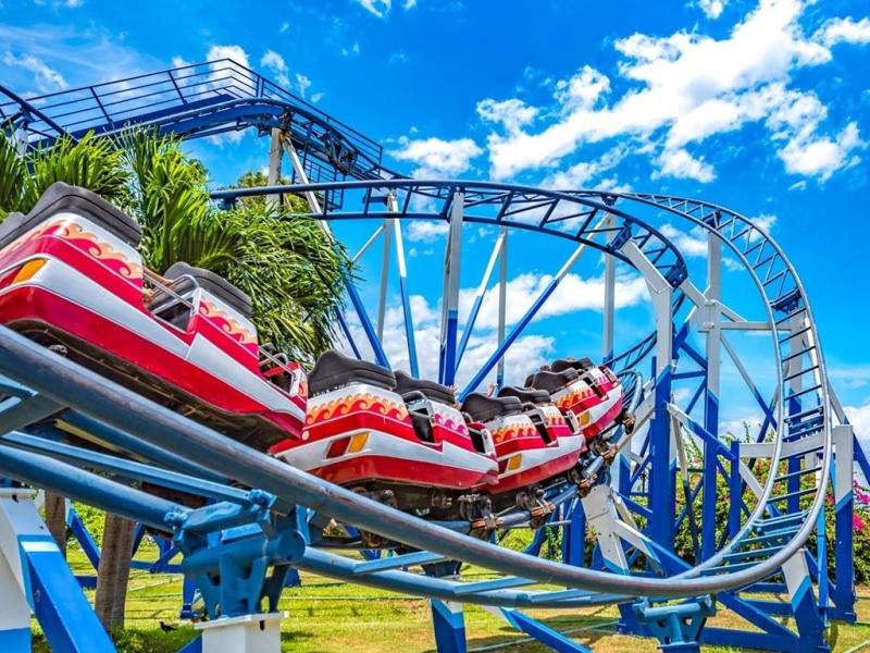 Co dong lon nhat cua cong vien nuoc Dam Sen co lai tro lai hinh anh