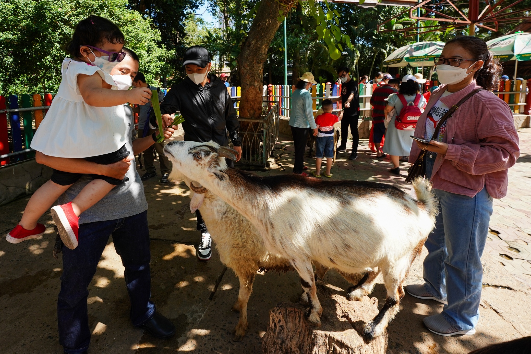 Thao Cam Vien lai ky luc hinh anh