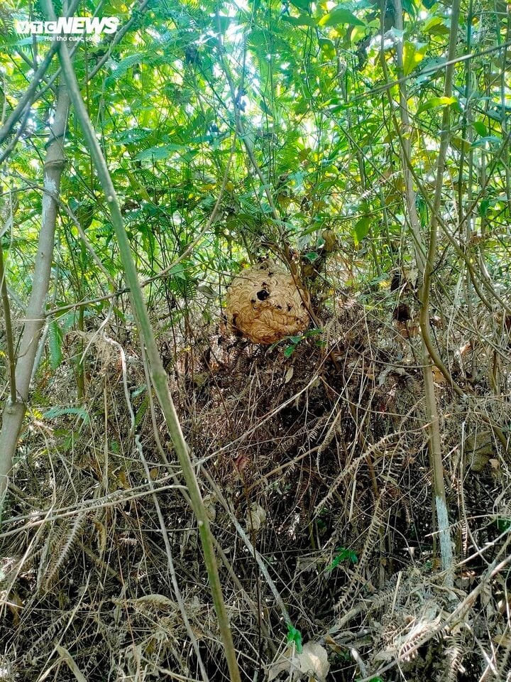 loi nhuan,  co tuc,  co phieu anh 1