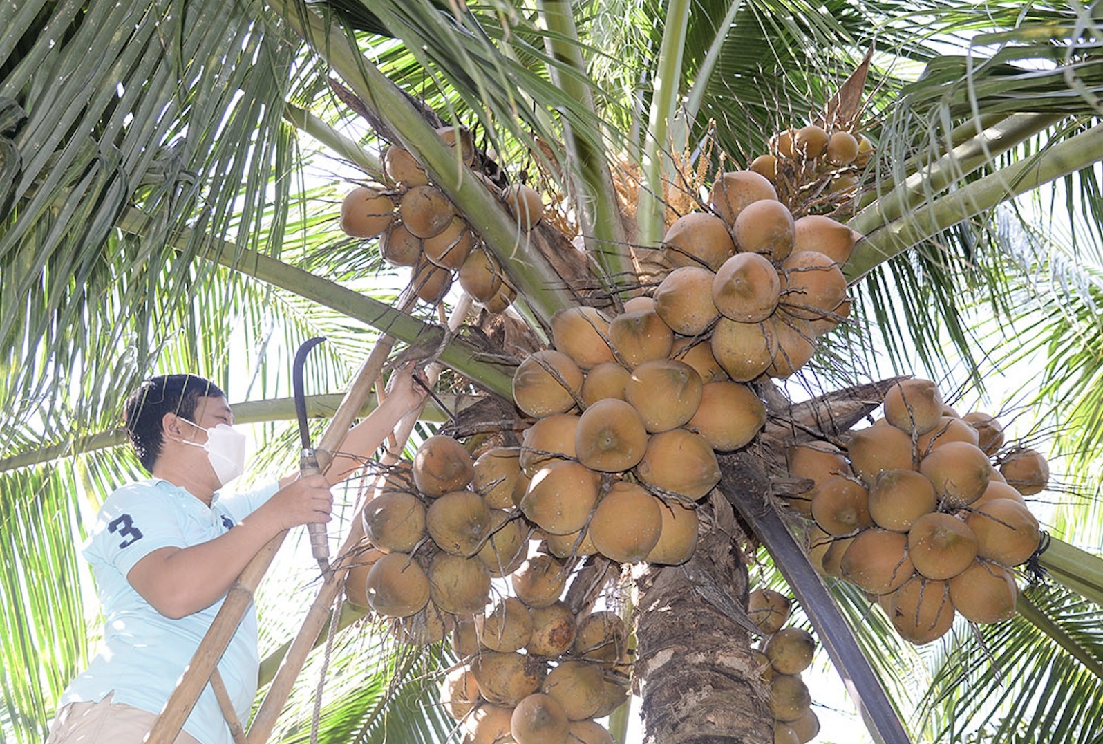 Dua tuoi Viet sap sang Trung Quoc, nguoi Thai lo mat thi truong ty USD hinh anh