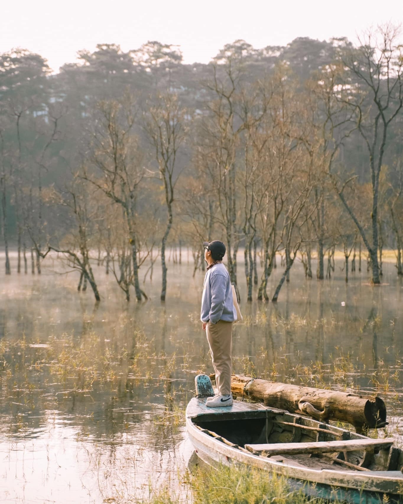 Vietnam Airlines,  Vietjet,  du khach anh 2