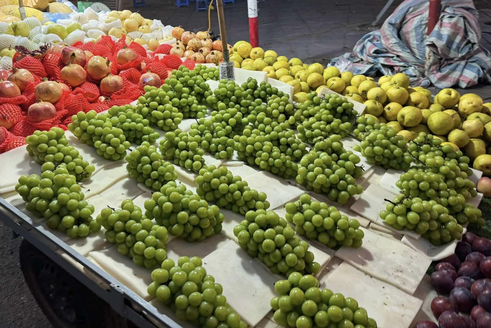 Soc voi gia nho sua 'quy toc', tu dat do thanh loai qua re nhat cho hinh anh