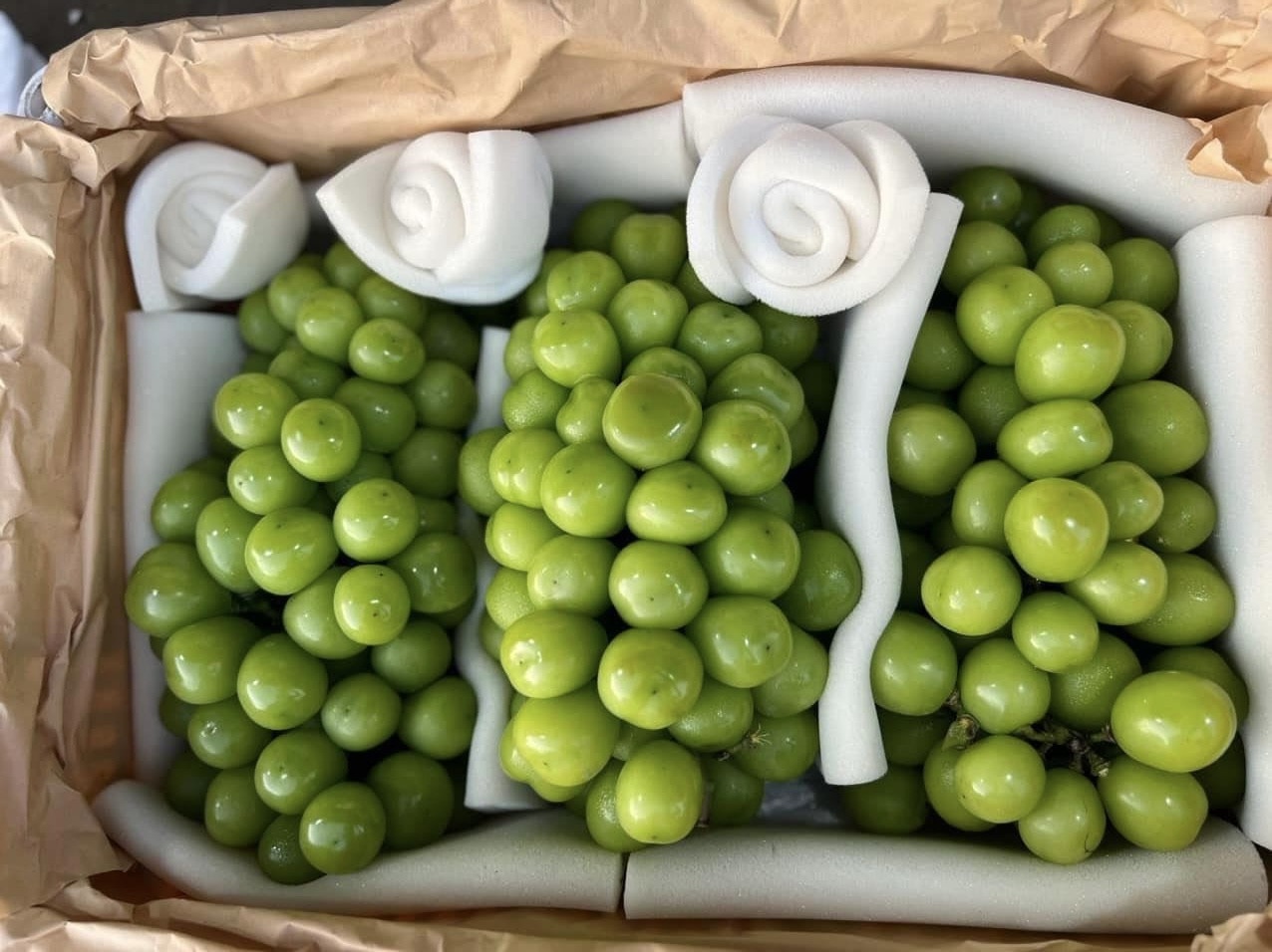 nho trung quoc anh 2