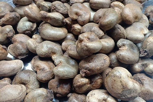 Viet Nam chi 1 ty USD bao mua gan nhu toan bo hat dieu Campuchia hinh anh