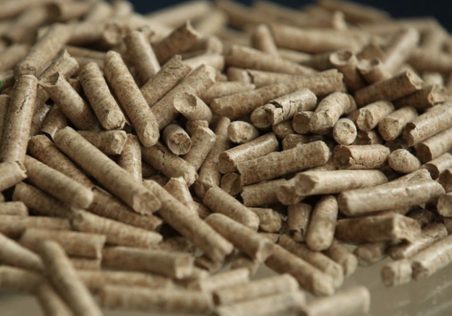 Ban go vun thu 2 ty USD, canh cay rung gay do do bao gom ban ra tien hinh anh