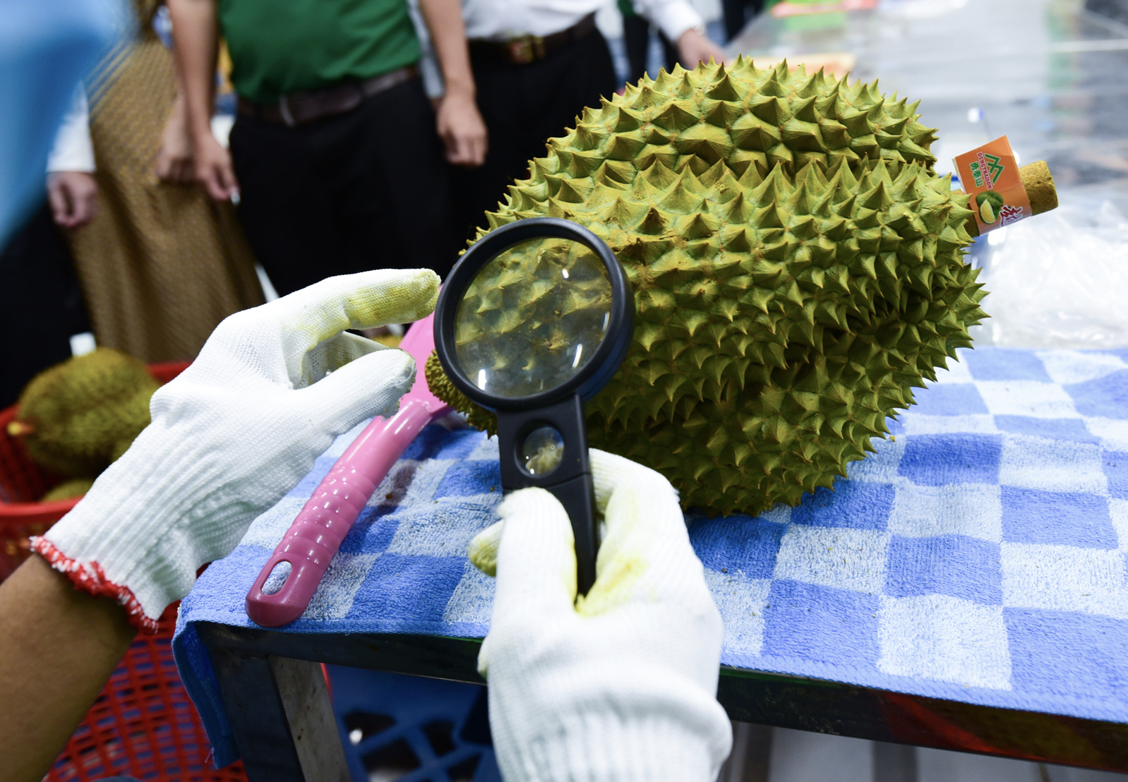 Trung Quoc se chi 10 ty USD mua sau rieng, canh bao cho hang Viet hinh anh