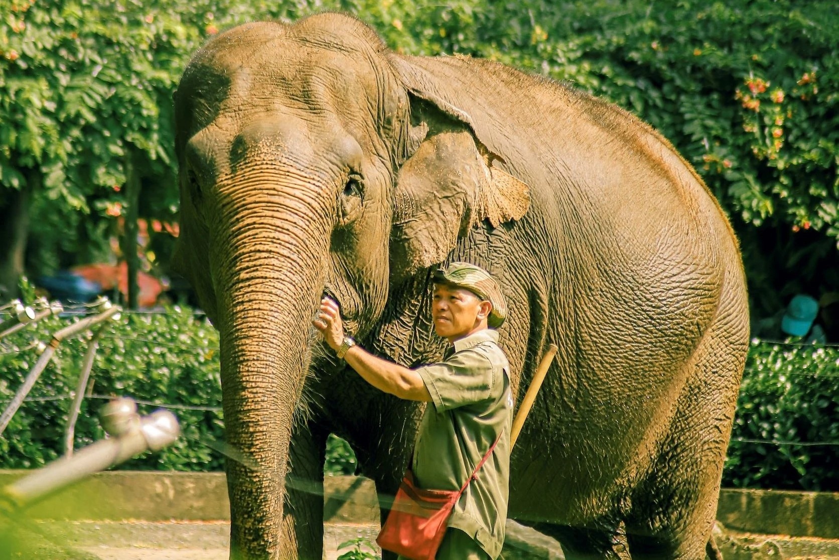 Vu Thao Cam Vien no thue 850 ty dong: Dang cho so nganh ho tro hinh anh