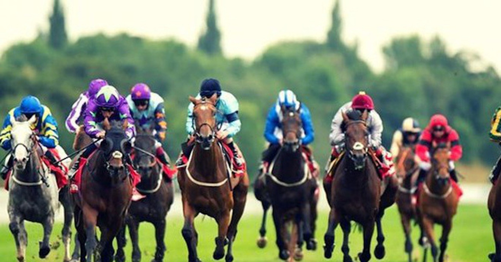 Ha Noi duyet quy hoach truong dua ngua 420 trieu USD o Soc Son hinh anh