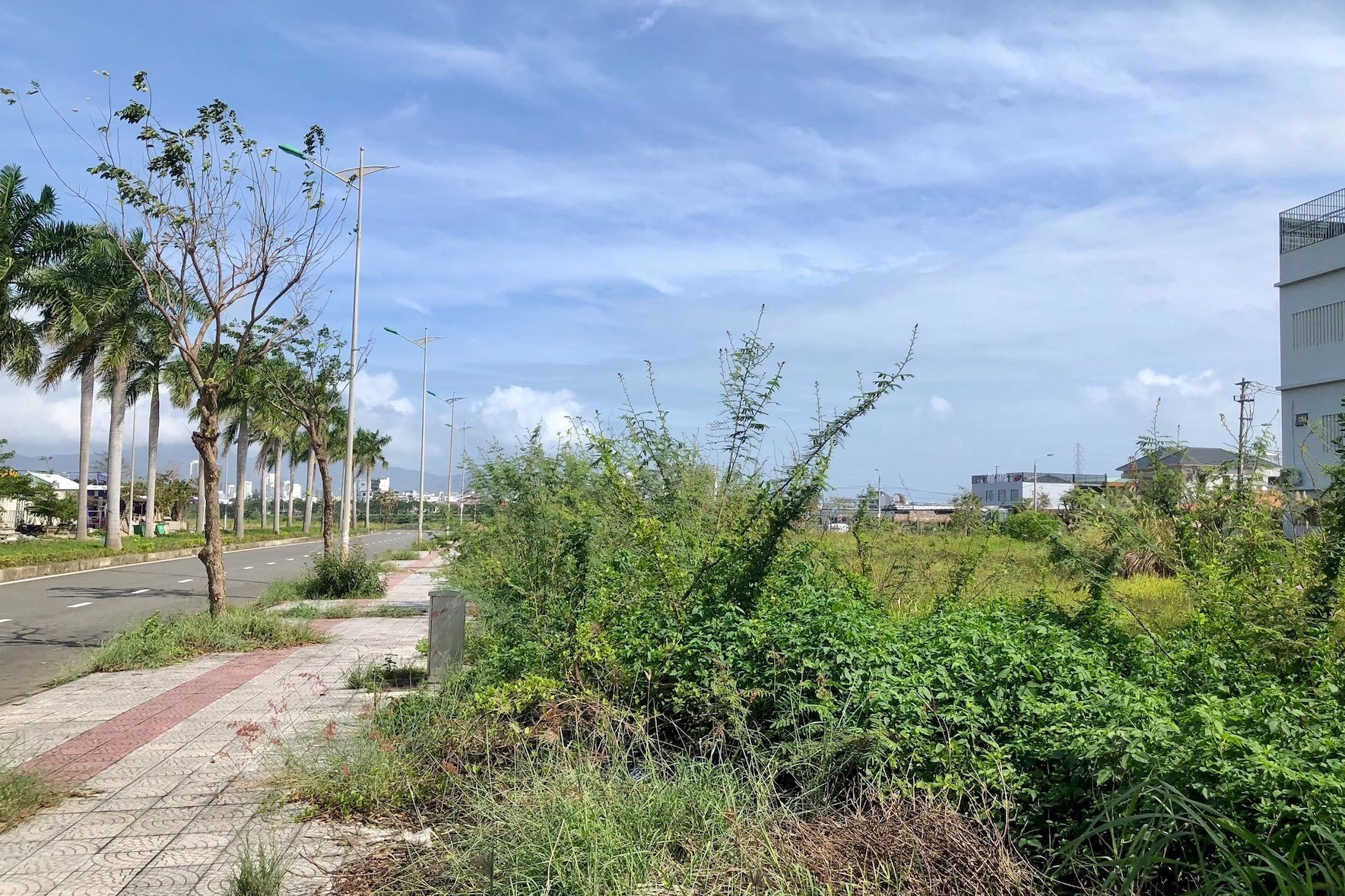 Dat nen Da Nang bong tang hang tram trieu/lo, chu dat ‘lat keo’ hinh anh