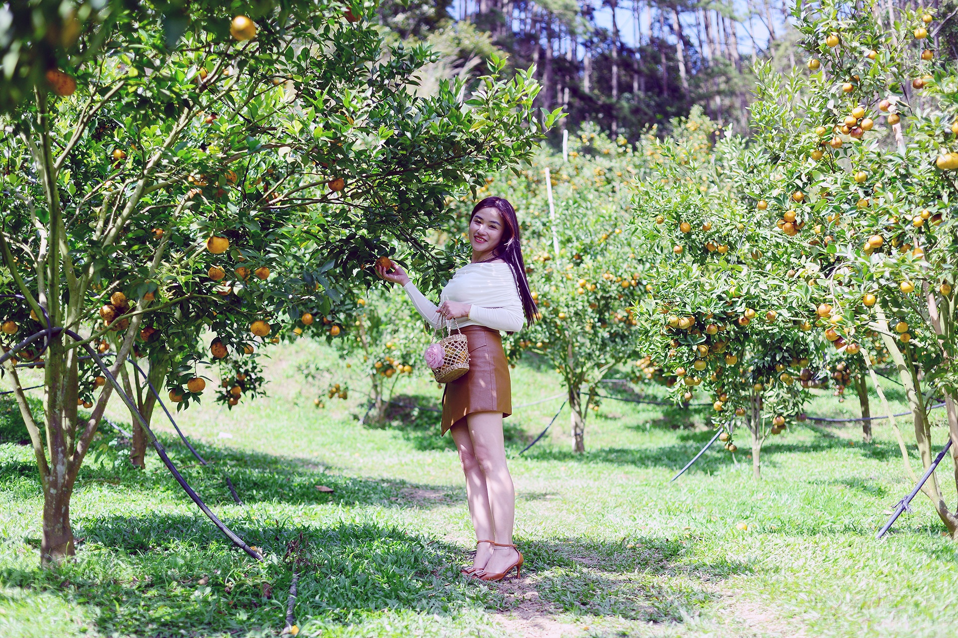 nong dan lam dong anh 1