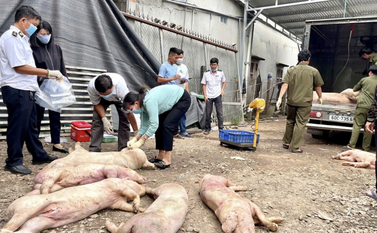 Chan thit heo ban tuon ra thi truong dip Tet hinh anh