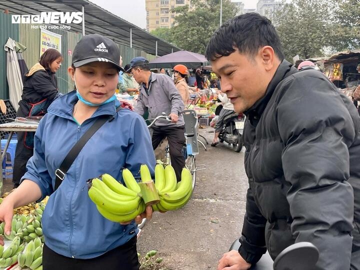 gia chuoi xanh anh 4