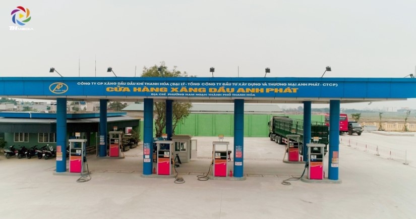 dai gia thanh hoa,  dai gia khoang san anh 2