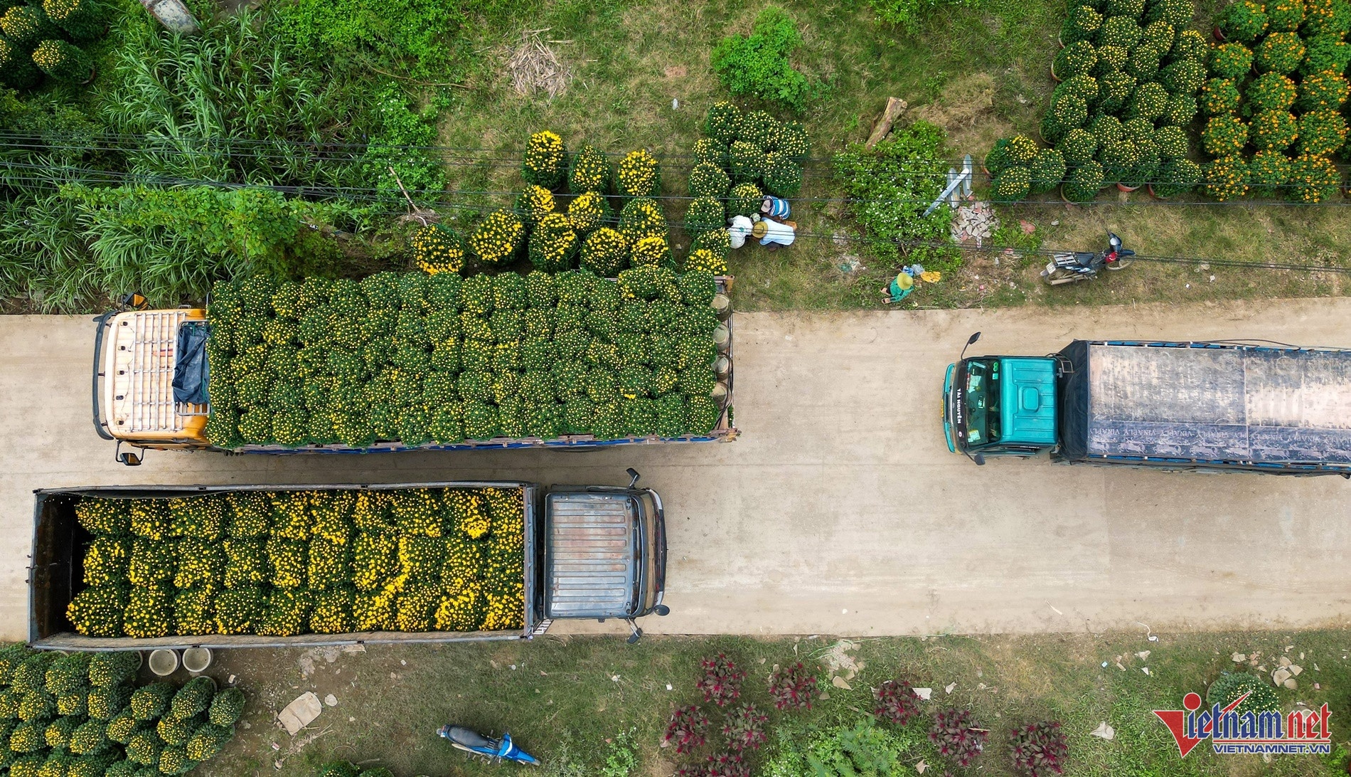 lang hoa nghia hiep,  cho tet 2025 anh 2