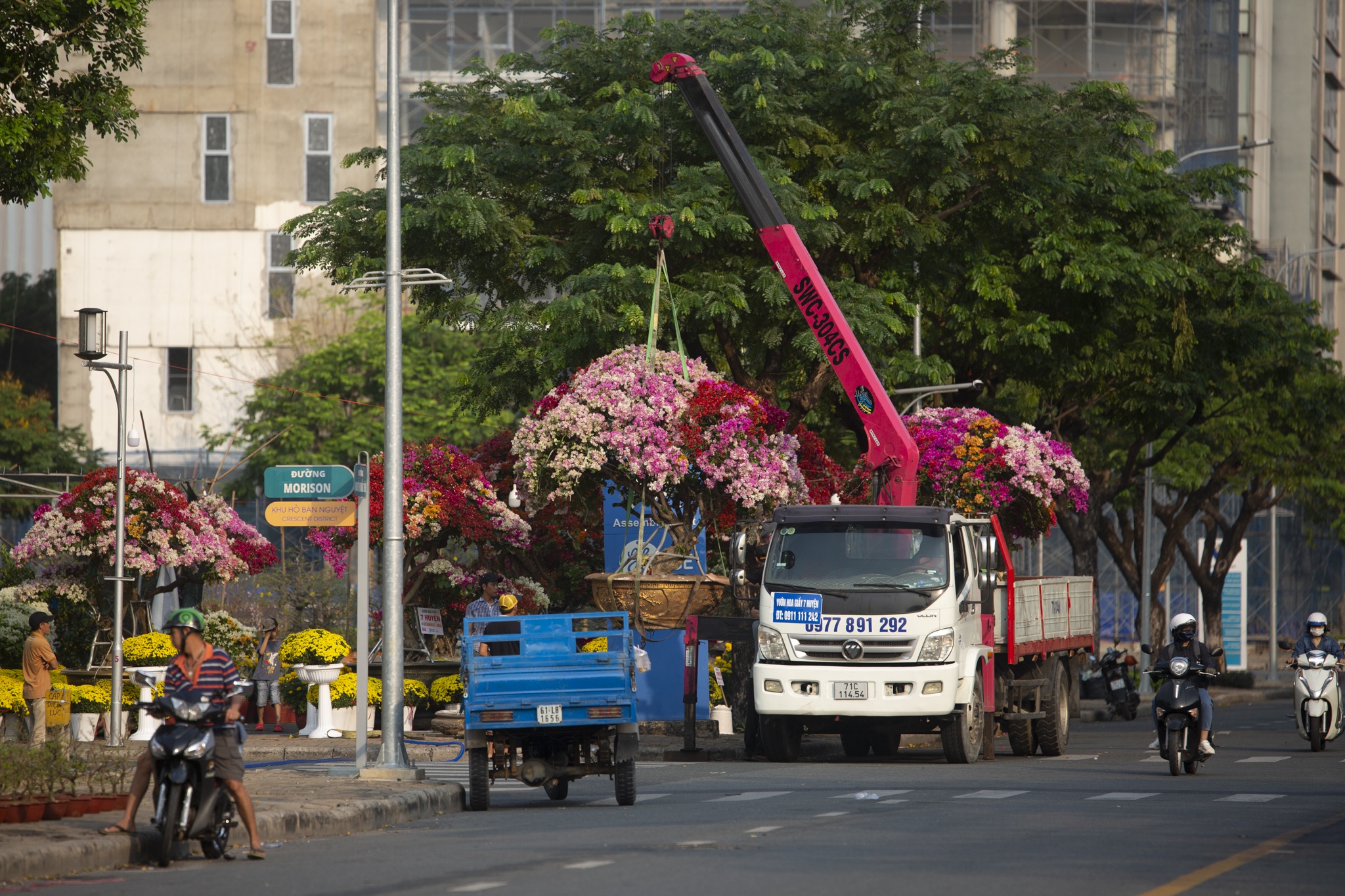 Xoai canh, dao tien vua 10 trieu dat hang o cho hoa nha giau TP.HCM hinh anh