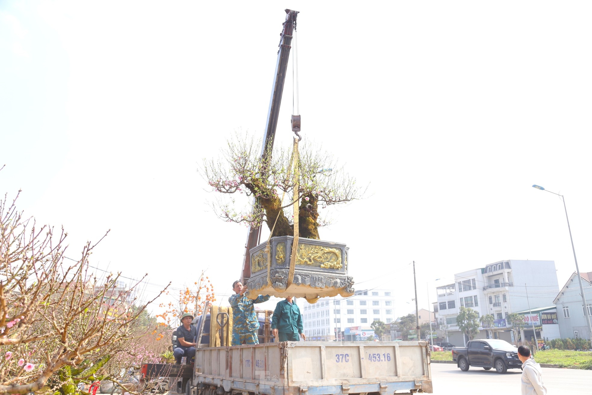 cho tet,  van chuyen dao quat anh 10