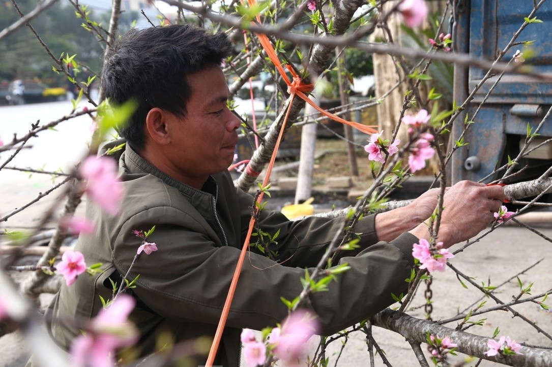 Thu nhap nguoi cho dao quat thue dip Tet giam manh hinh anh