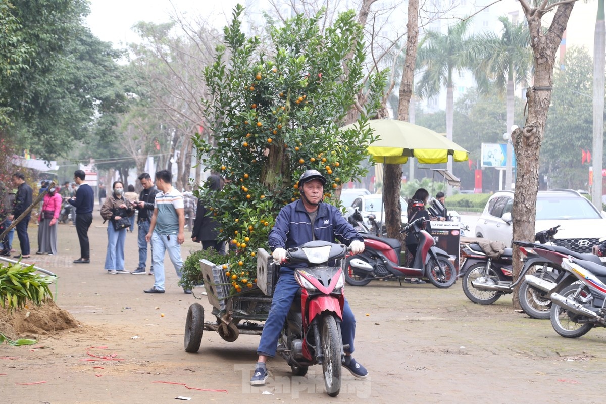 cho tet,  van chuyen dao quat anh 11