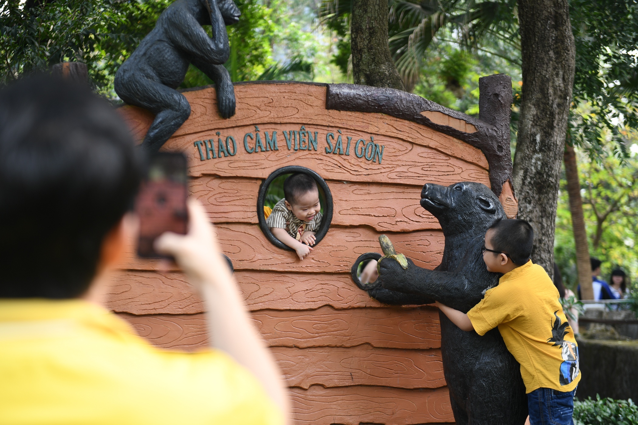 Thao Cam Vien bao lai giam manh hinh anh