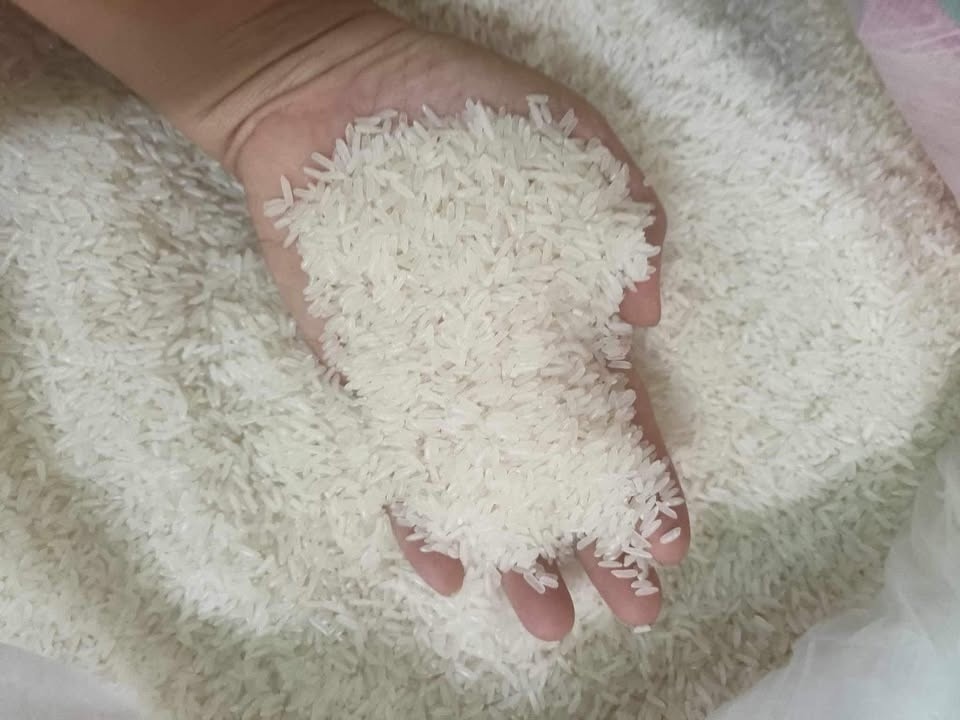 Tu dinh sot toan cau, gia gao roi cham day, cho Viet giam 1.000 dong hinh anh