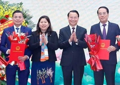 Hop nhat nhieu Cuc, Vu trong hai linh vuc dat dai, moi truong hinh anh