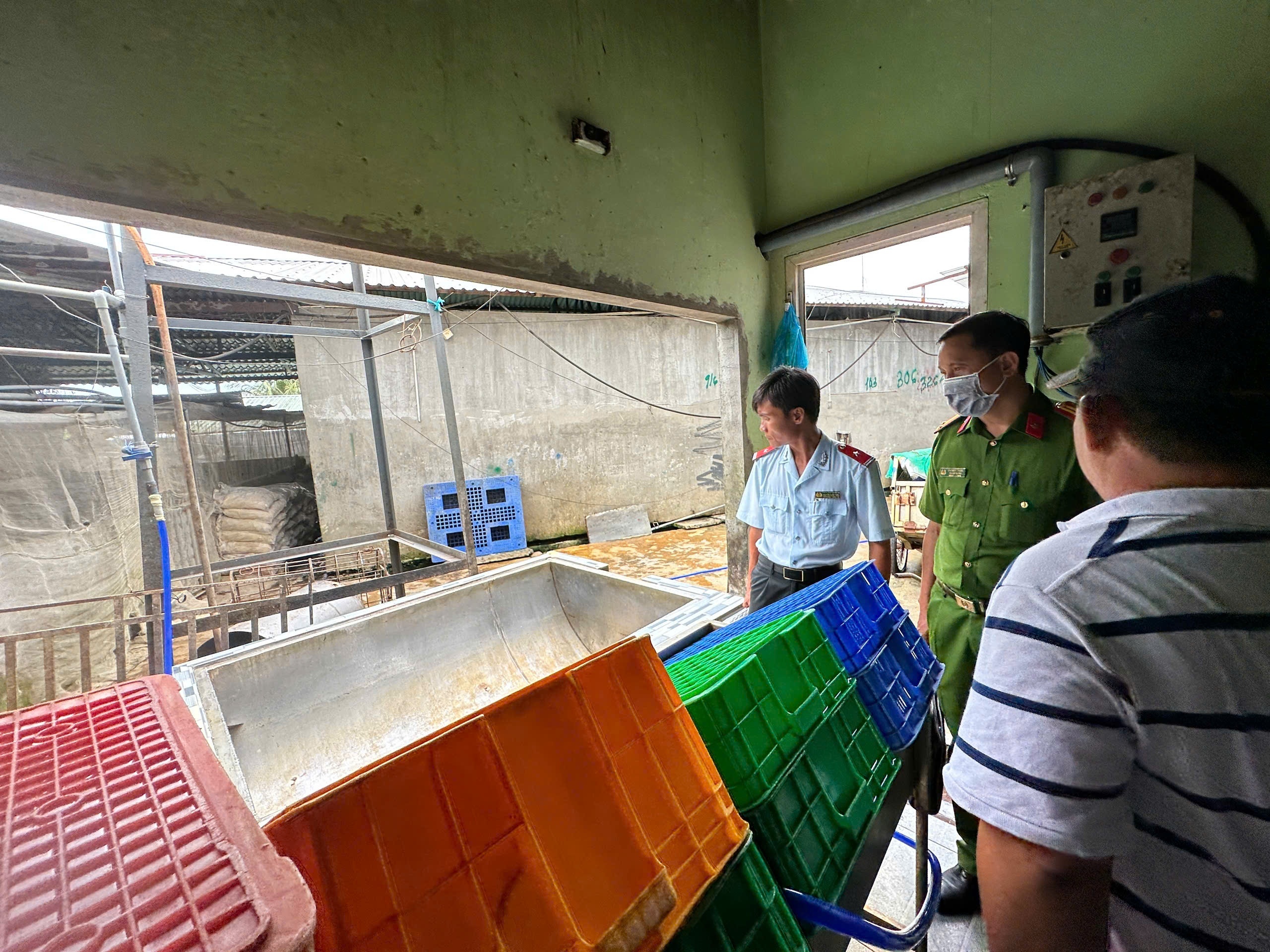 Chu tich Hau Giang chi dao 'nong' sau vu C.P bi to ban heo benh hinh anh