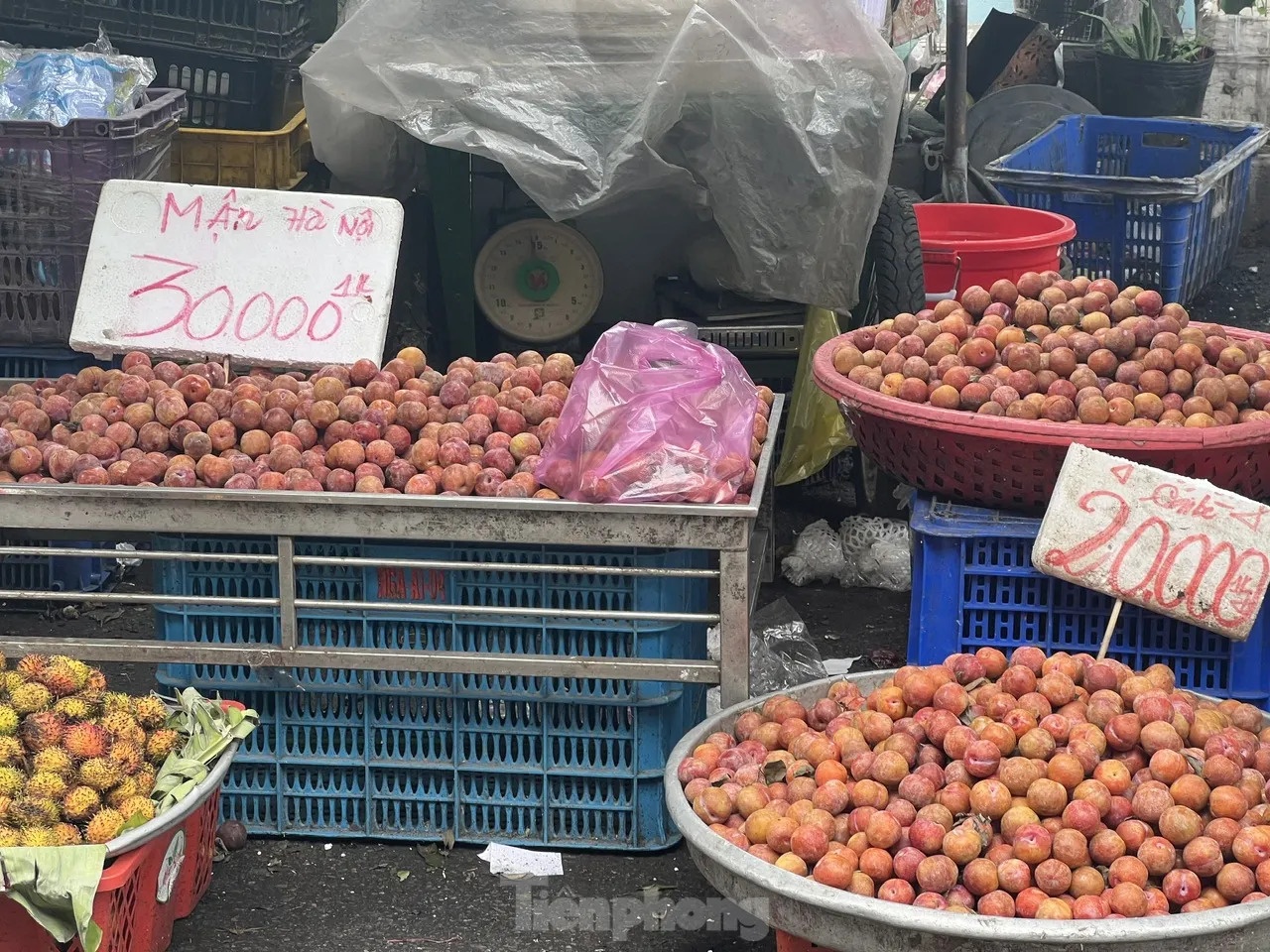 man hau anh 6