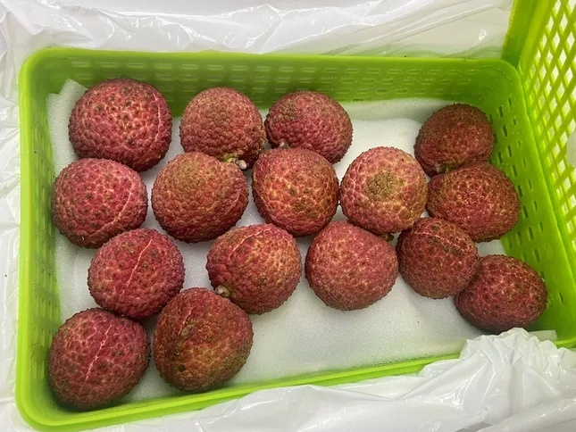 gia vai thieu anh 3
