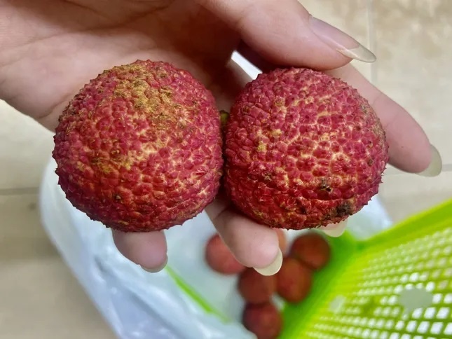 gia vai thieu anh 1