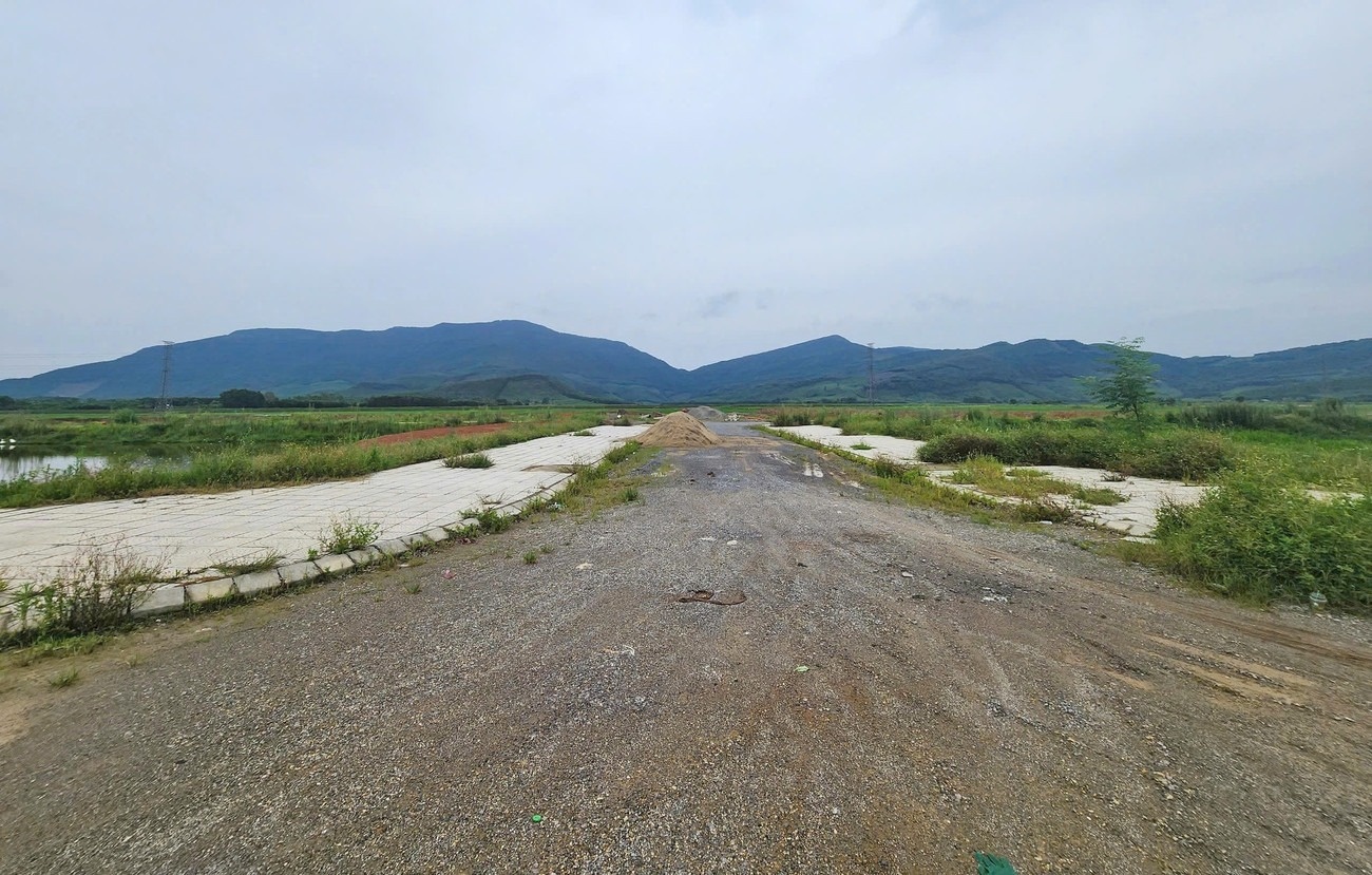 duong sat cao toc anh 1