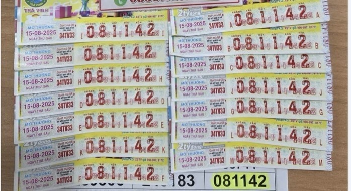 Nguoi phu nu TP.HCM ve que mua ve so roi trung doc dac 14 to hinh anh