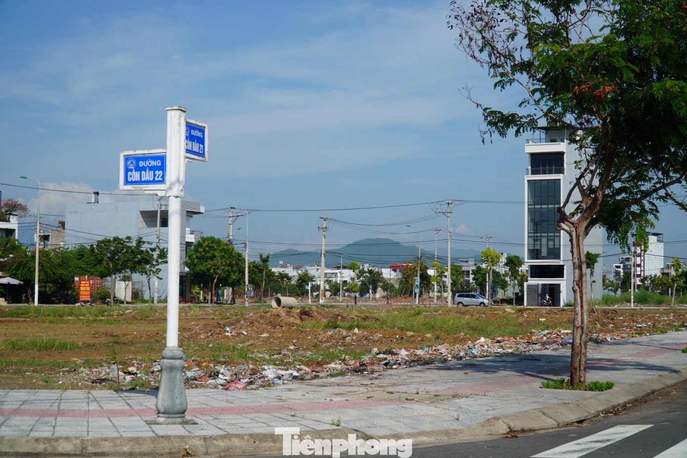 tang gia,  co dat,  co BDS anh 12