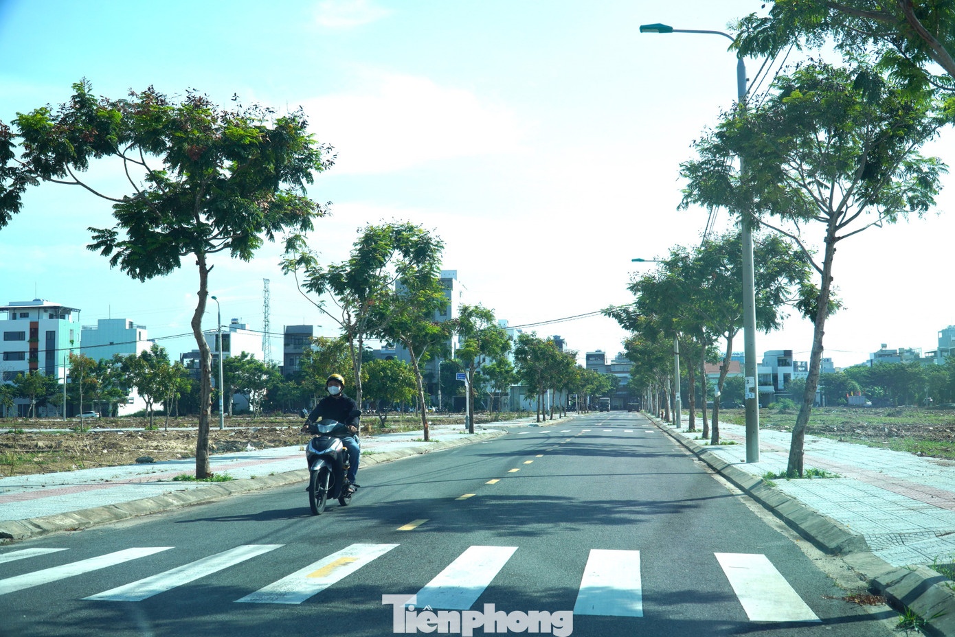 tang gia,  co dat,  co BDS anh 10