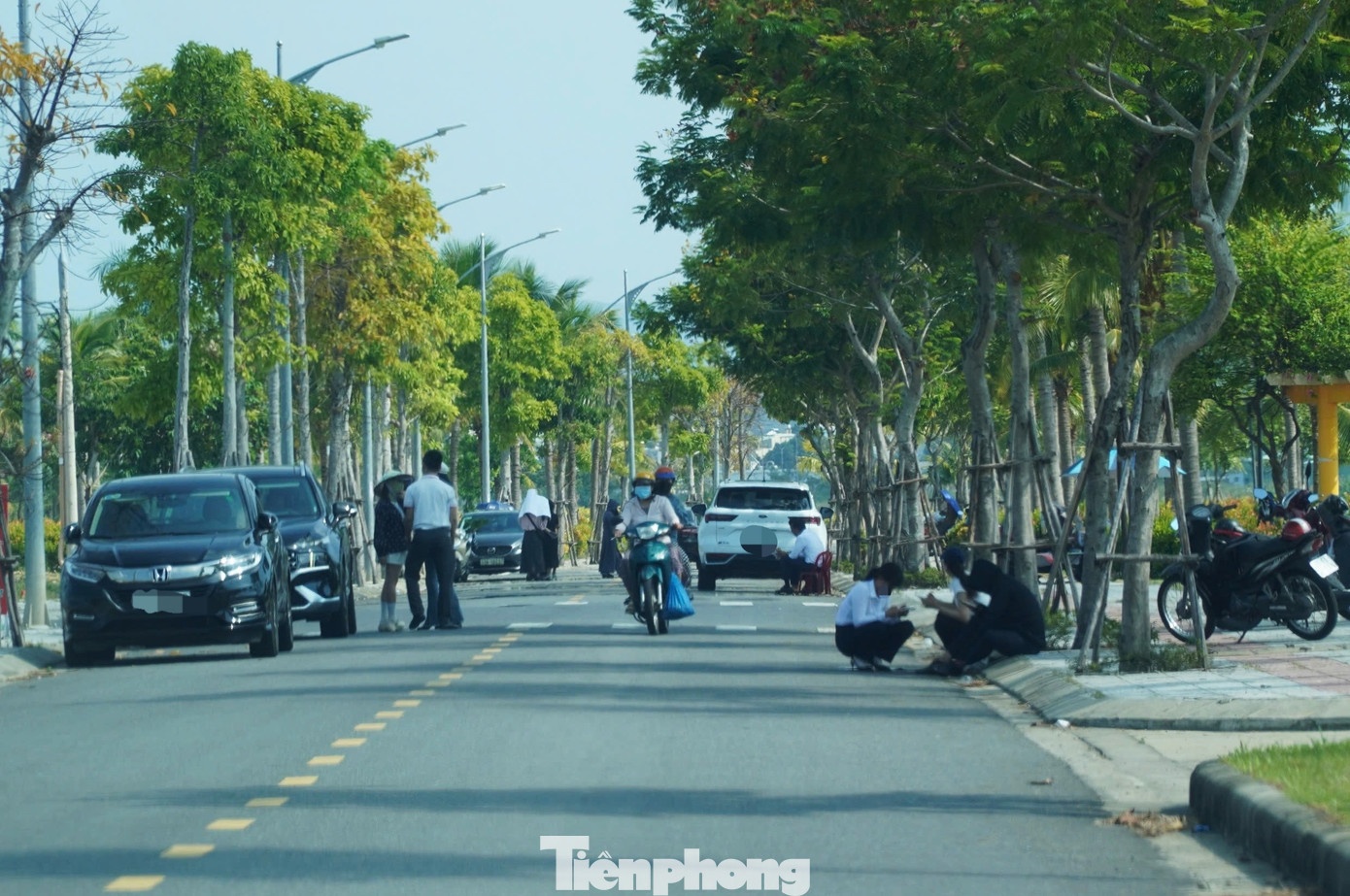 tăng giá,  cò đất,  cò BĐS ảnh 1 tang gia,  co dat,  co BDS anh 1