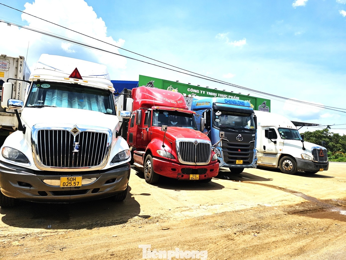 sau rieng dak lak anh 10