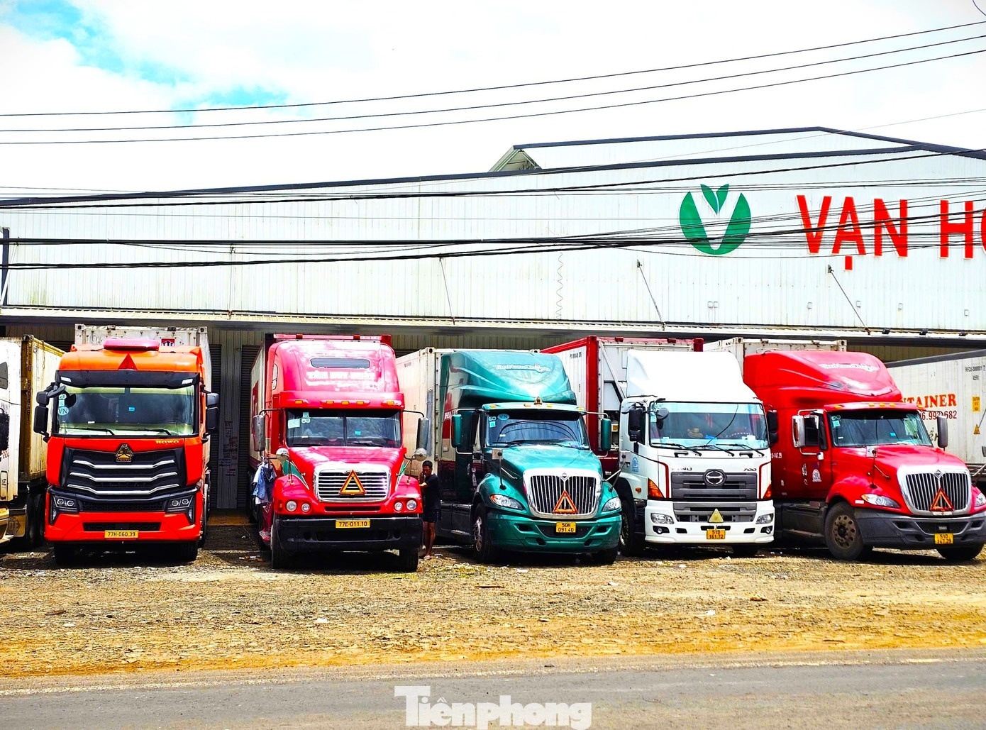 sau rieng dak lak anh 12