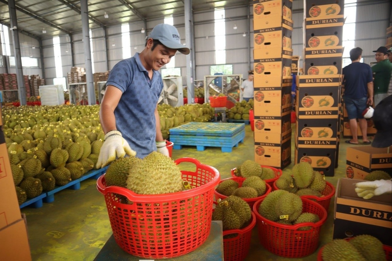Container rong ran thu mua sau rieng hinh anh