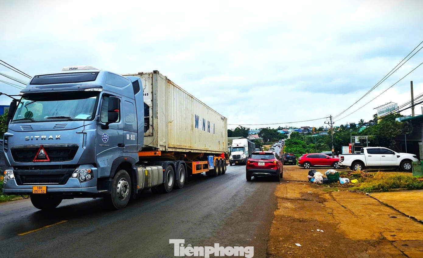 sau rieng dak lak anh 3