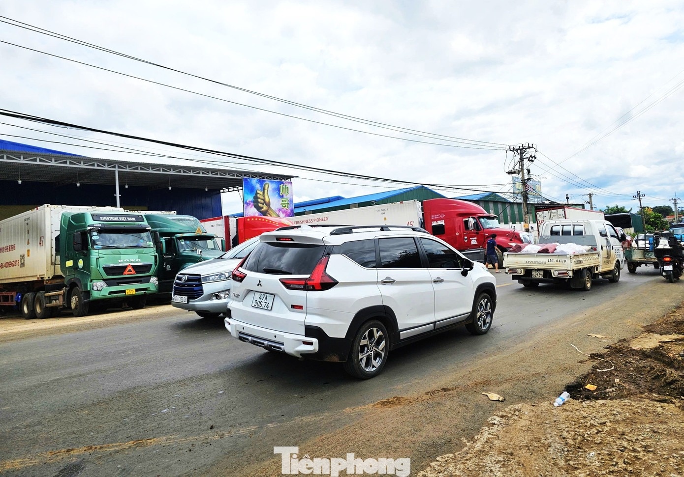 sau rieng dak lak anh 4