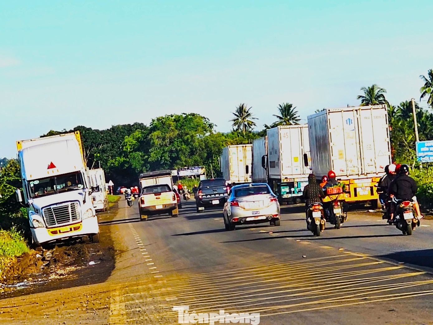 sau rieng dak lak anh 5