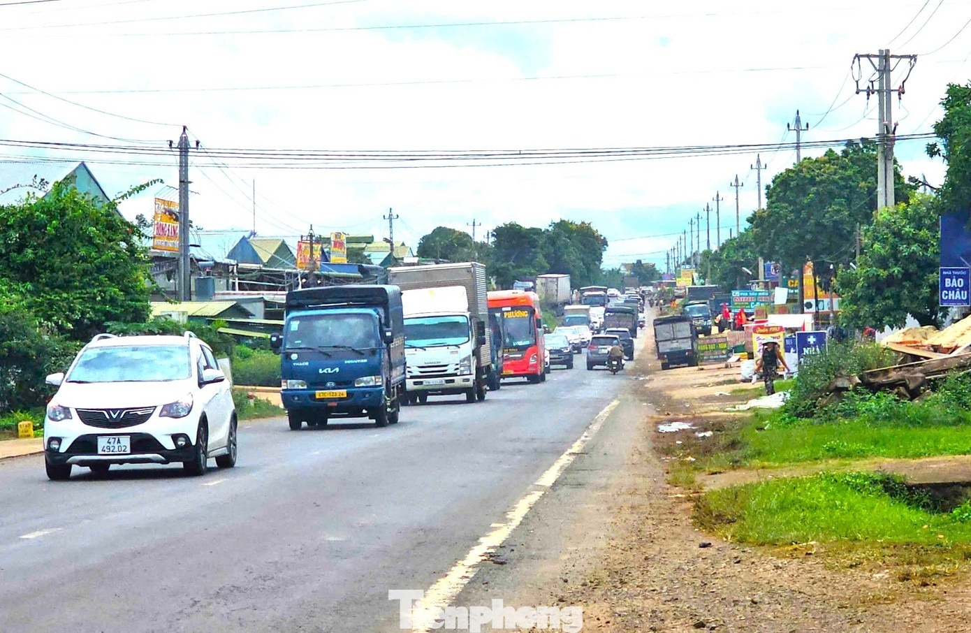 sau rieng dak lak anh 7