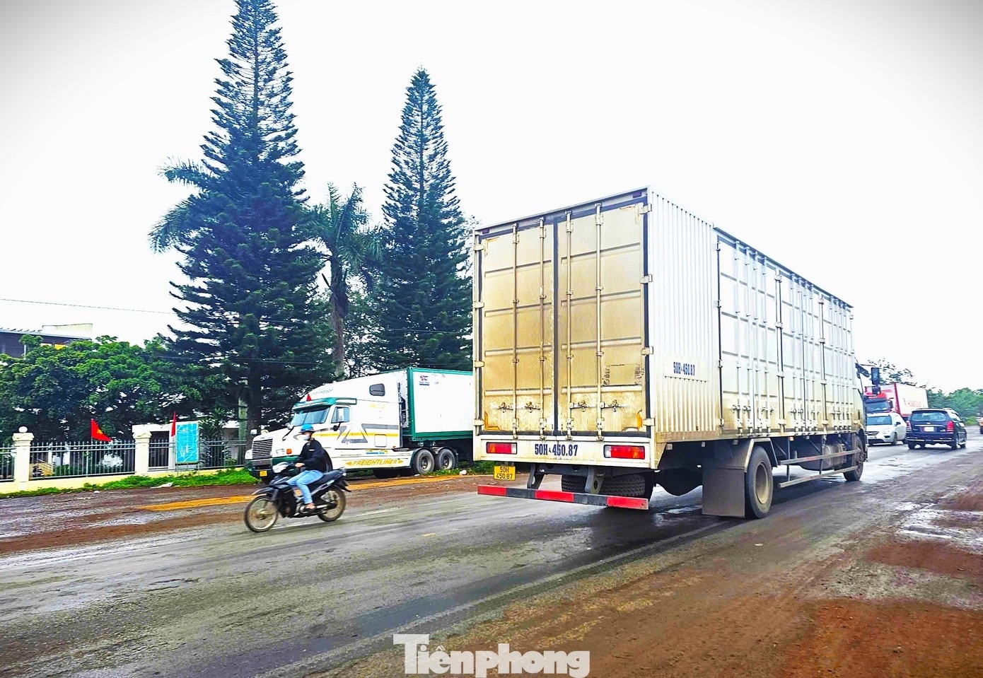 sau rieng dak lak anh 8