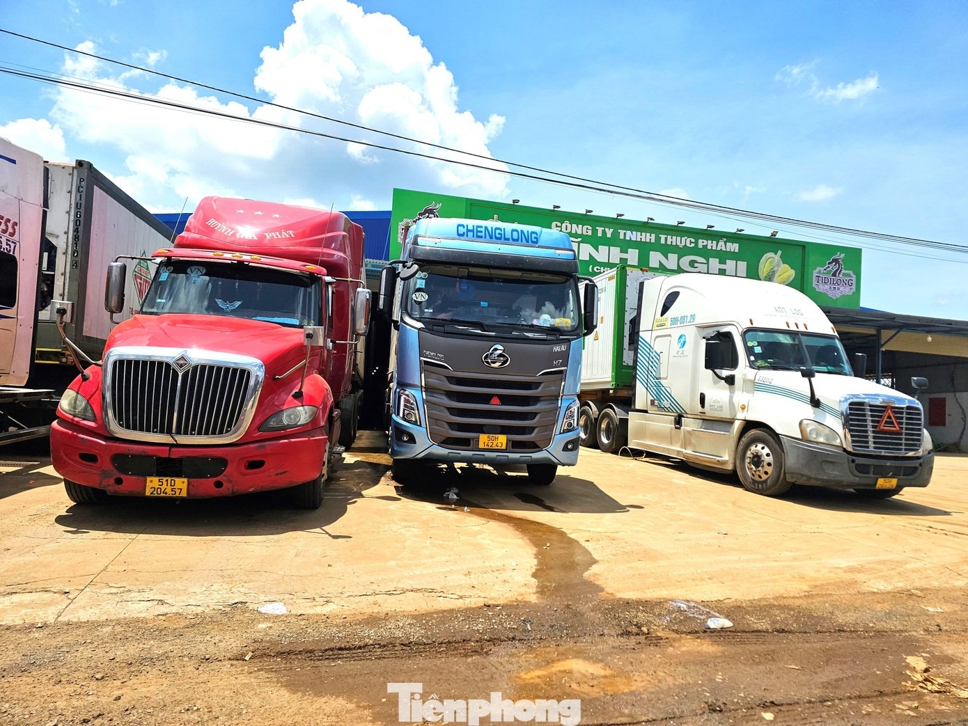 sau rieng dak lak anh 9