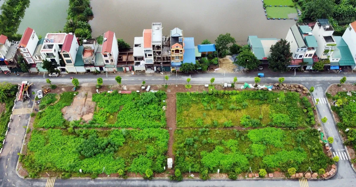 Gan ma dinh danh cho tung thua dat hinh anh